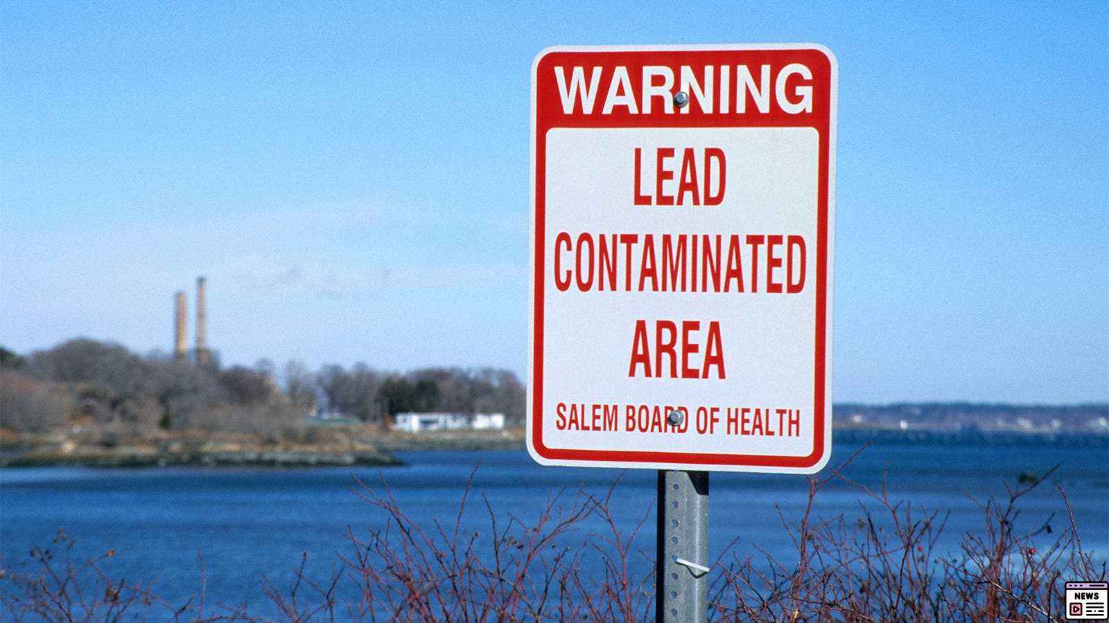 Consumer Reports Uncovers Lead Contamination in Cinnamon Brands
