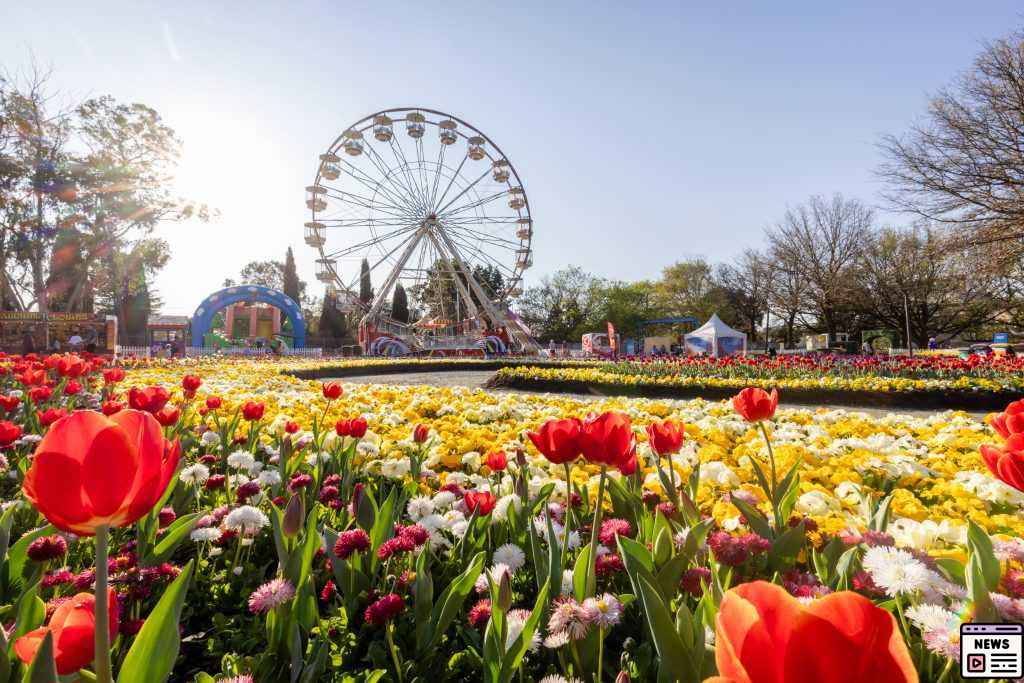 Floriade Transformation: Affordable Enhancements for Commonwealth Park