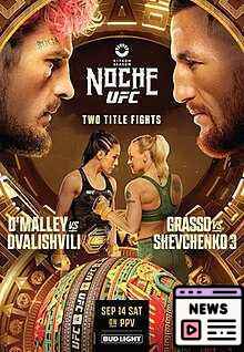 Inspiring Journeys and Stakes of UFC 306: Zellhuber vs Ribovics