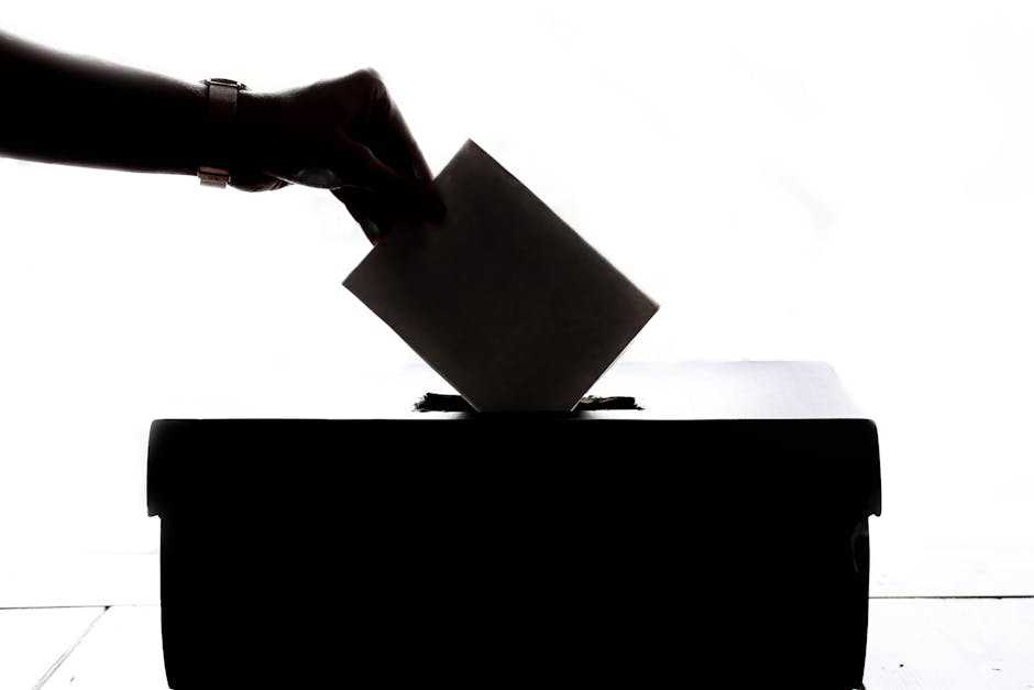 Check Your Voter Status After Texas Scrubs Rolls Cleanup