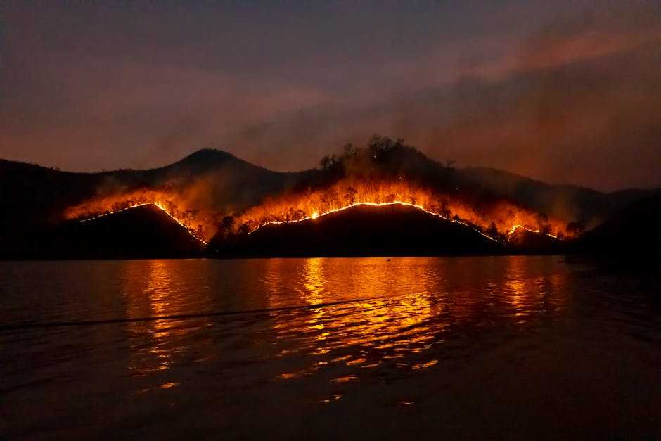 Portugal’s Wildfire Tragedy Claims Lives of Brave Firefighters