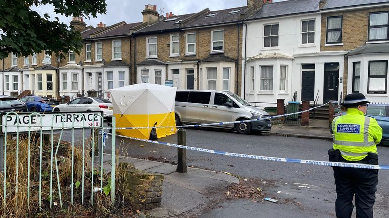 Tragic Death of 15-Year-Old Boy in Woolwich Stabbing Incident