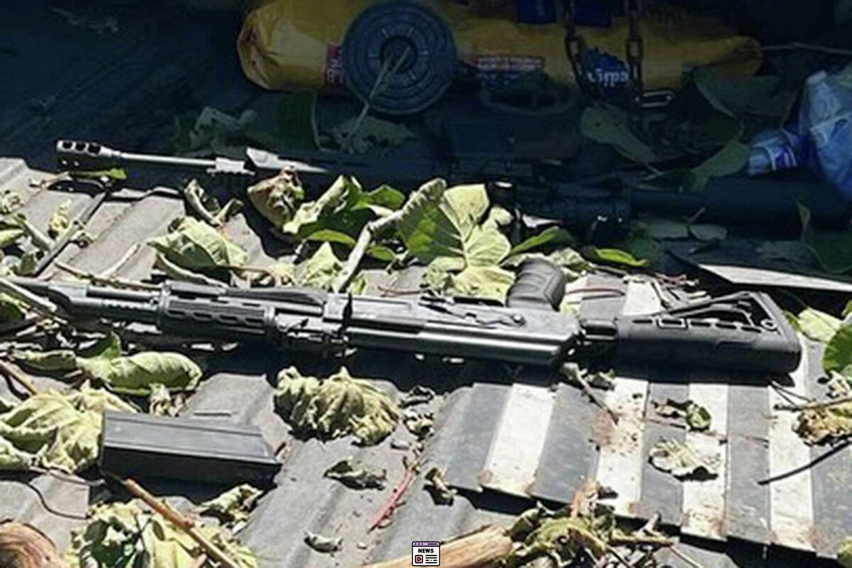 Tragedy in Monterey: Man’s Shocking Shooting Spree Claims 81 Innocent Animals