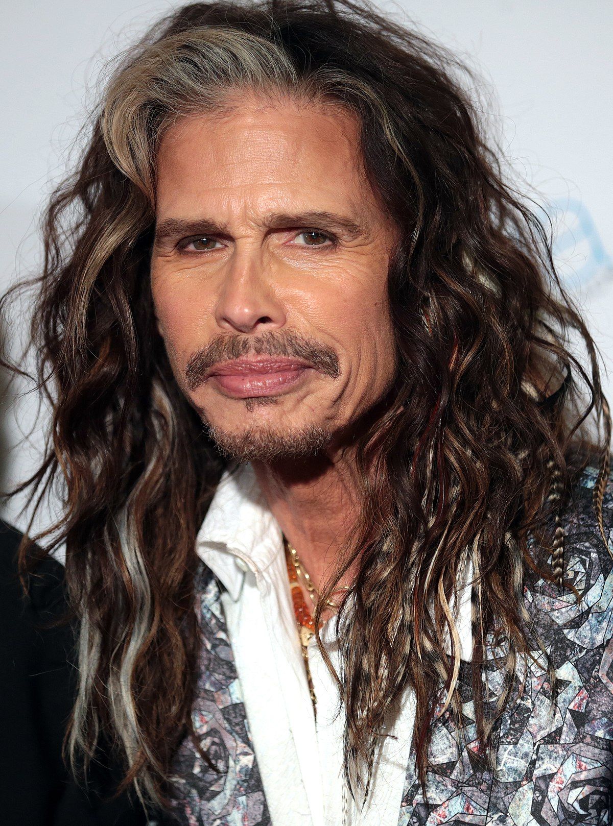 Steven Tyler’s 2024 Net Worth: A Look at His Wealth