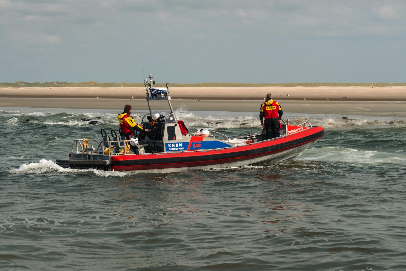 KNRM seal rescue [4] - Seal was stuck in a net