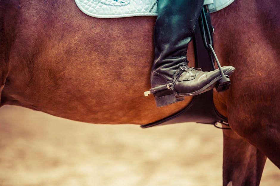 English vs Western Riding Equestrian Styles