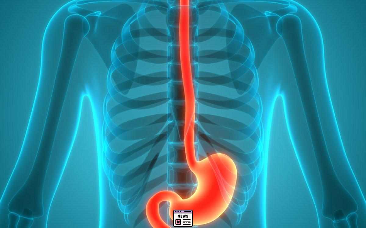 Revolutionary Weight-Loss Drugs: A Game Changer for Health and Longevity