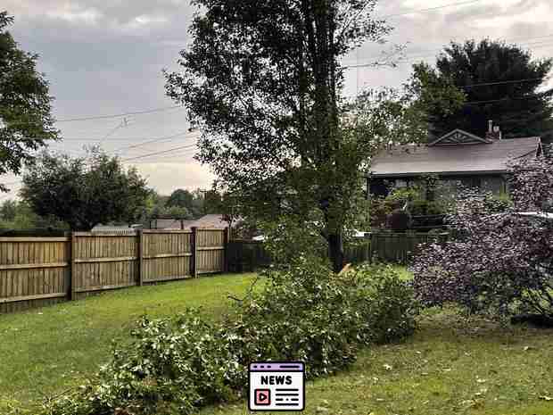 Devastating Storms in Beaver County: Trees Fall, Homes Split