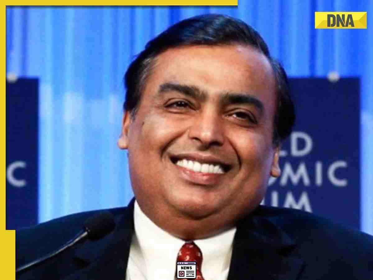 Reliance Stocks: From Multibagger Success to Sudden Declines