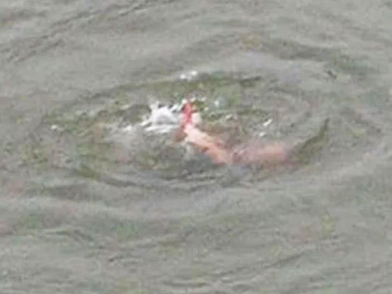 Tragic Family Drownings Mar Day at Manora Beach