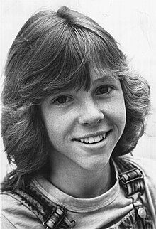 Kristy Mcnichol Net Worth