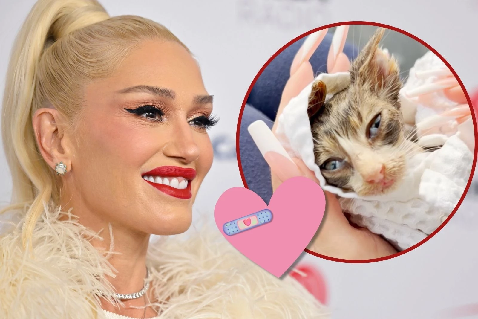 Gwen Stefanis Family Expands with New Tattoo and Rescued Kitten