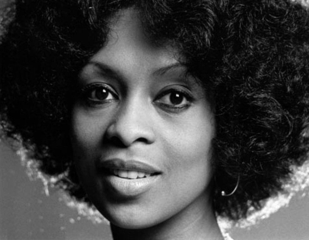Lola Falana Net Worth
