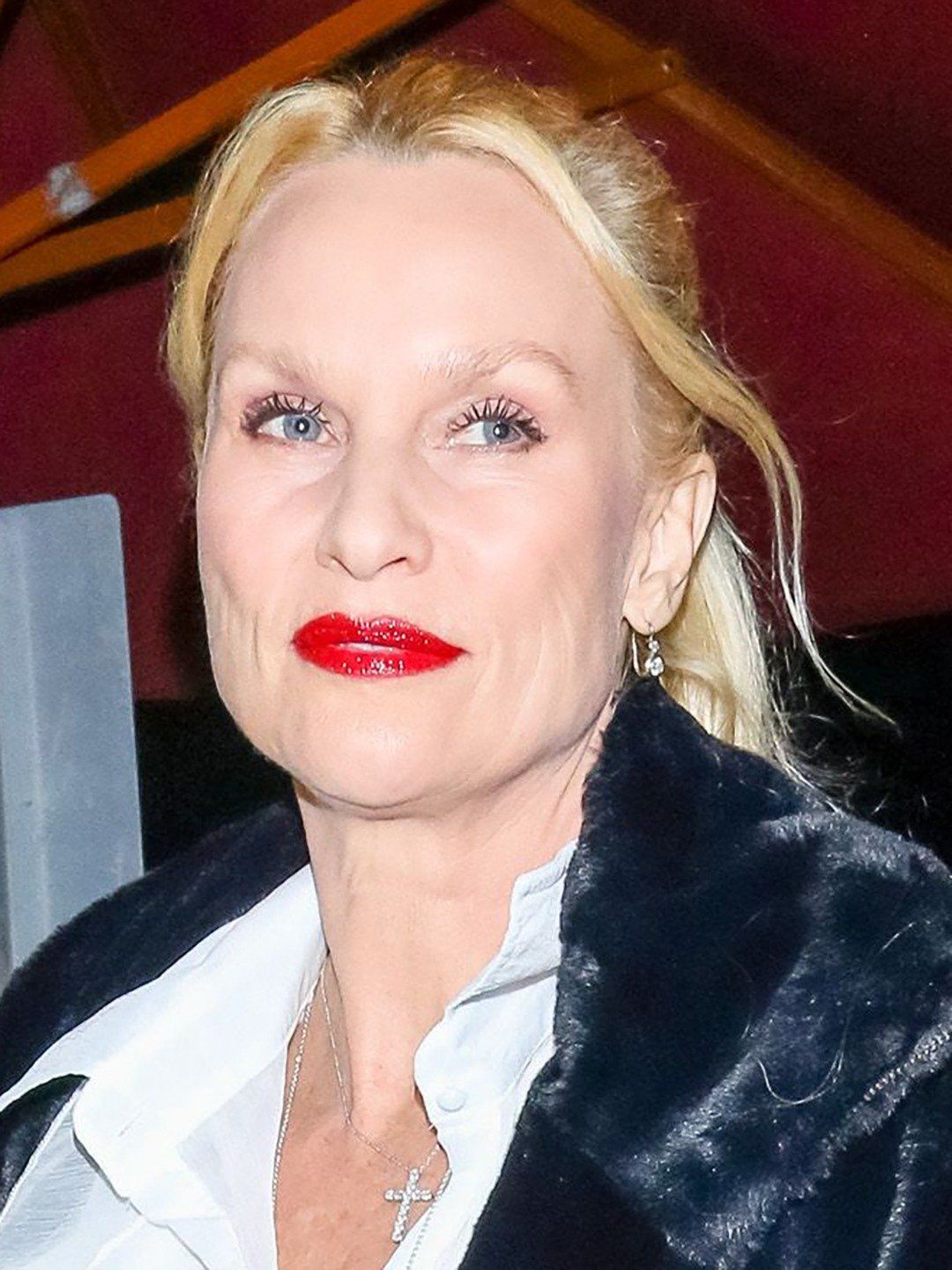Nicollette Sheridan Net Worth