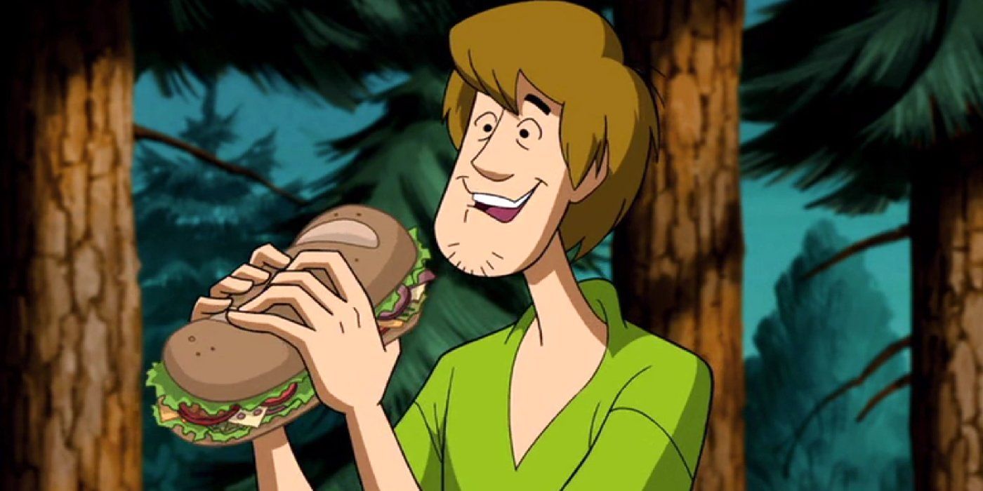 Shaggy Net Worth