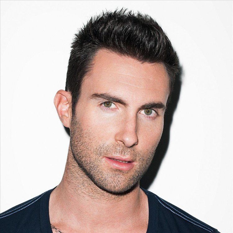 Adam Levine Maroon 5 Net Worth
