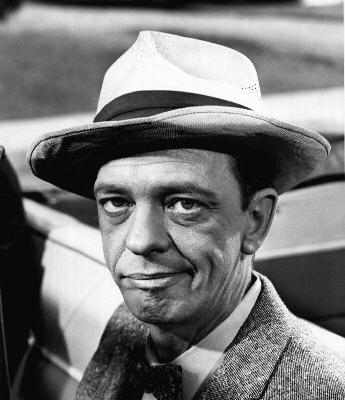 Net Worth Don Knotts